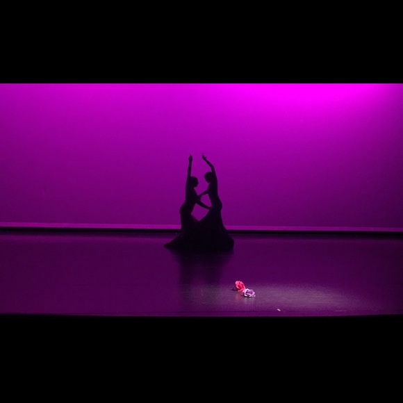 Meet your Posher, Laila - Picture 2 of 2